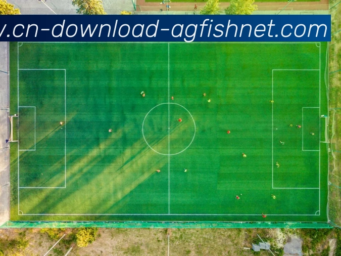 多媒体互动体验